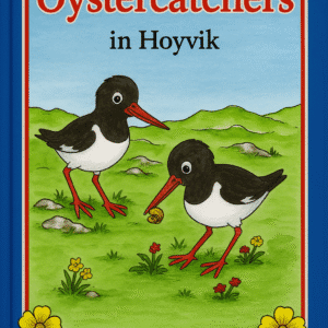 The Oystercatchers in Hoyvík
